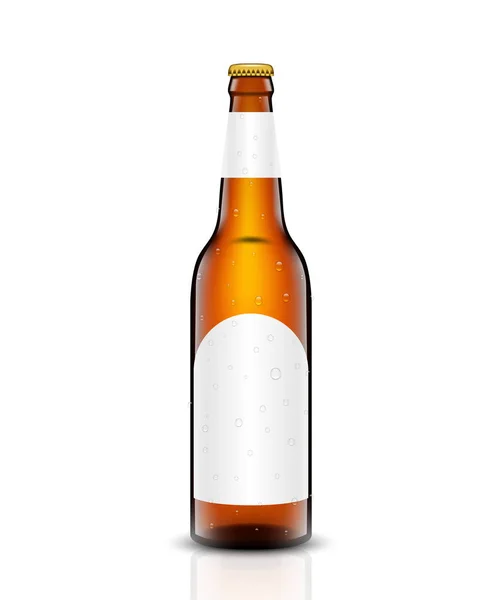 Cerveza botella vector conjunto . — Archivo Imágenes Vectoriales