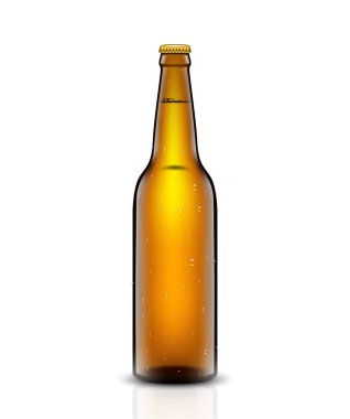 Bira şişe vektör set.