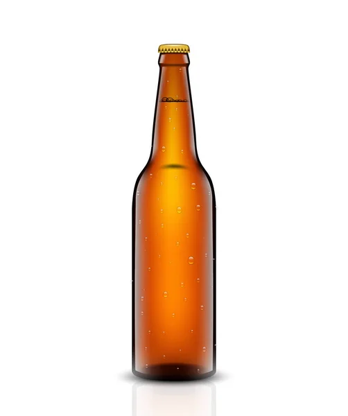 Beer bottle vektor készlet. — Stock Vector