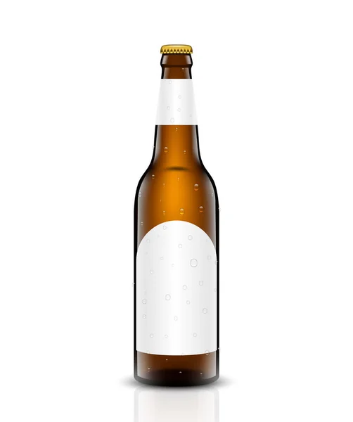 Conjunto de vetor de garrafa de cerveja . —  Vetores de Stock