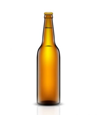 Bira şişe vektör set.