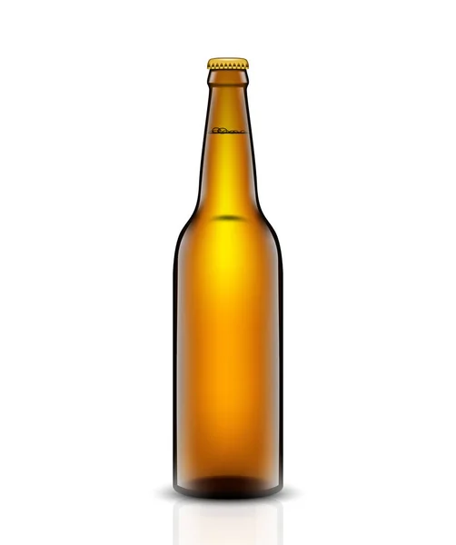 Pivní láhev vektorové sada. — Stockový vektor