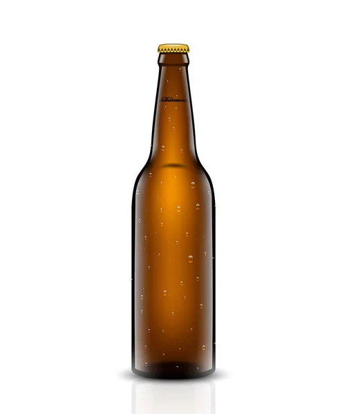 Ensemble de vecteurs de bouteilles de bière . — Image vectorielle