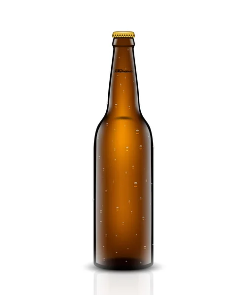 Conjunto de vetor de garrafa de cerveja . —  Vetores de Stock