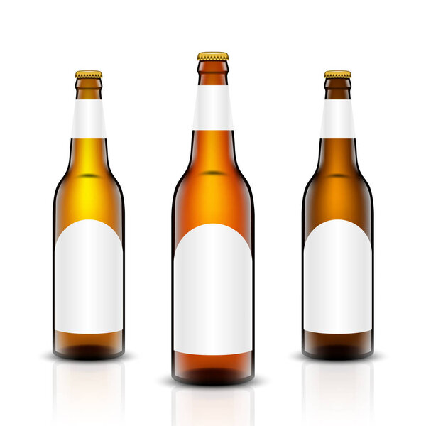 Beer bottle vector set.