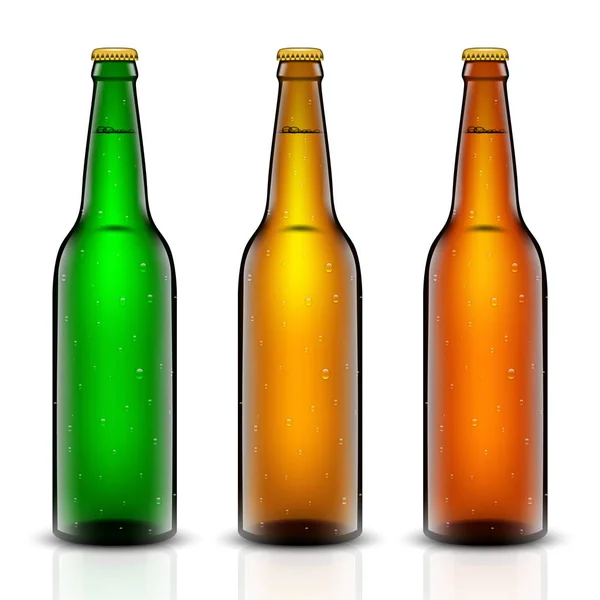 Beer bottle vector set. — Stock Vector