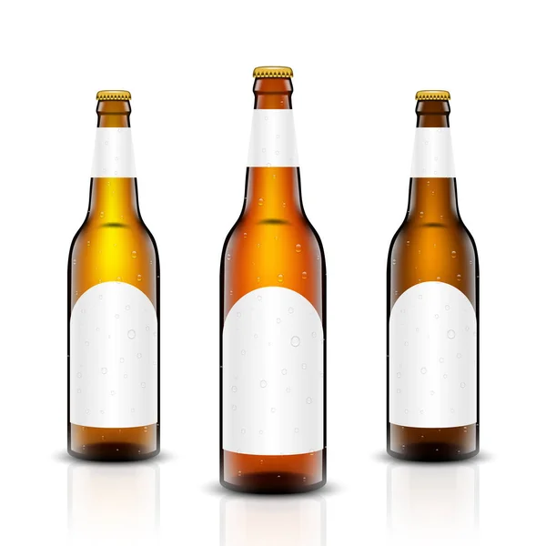 Beer bottle vektor készlet. — Stock Vector