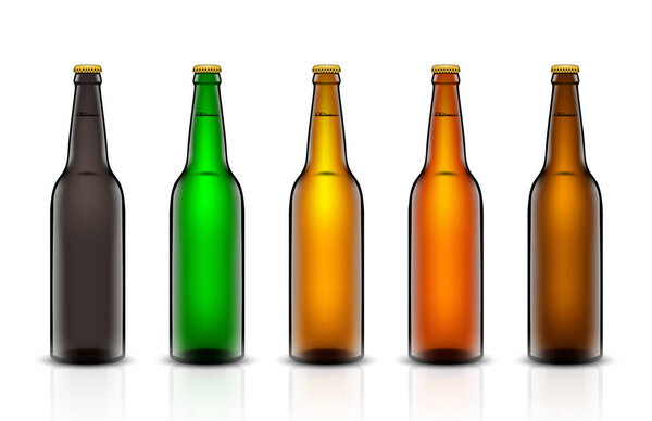 Beer bottle vector set.