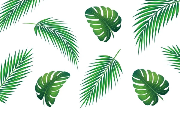 Colección de hojas tropicales . — Vector de stock