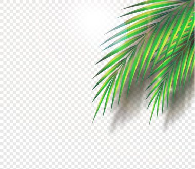 Vektör yaz arkaplanı.