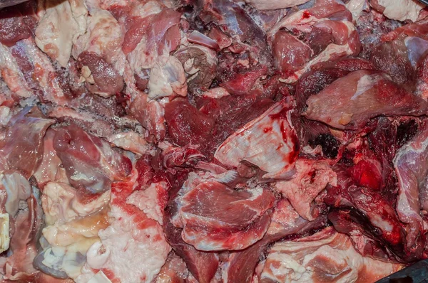Χύμα νωπό κρέας ελαφιού από ελάφια φόντο — Φωτογραφία Αρχείου