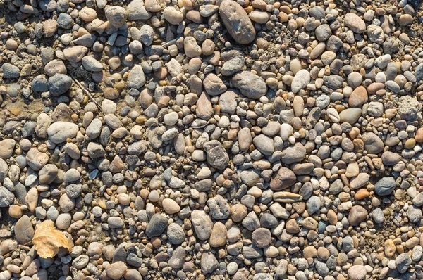 Textura da praia de seixos na margem do rio — Fotografia de Stock