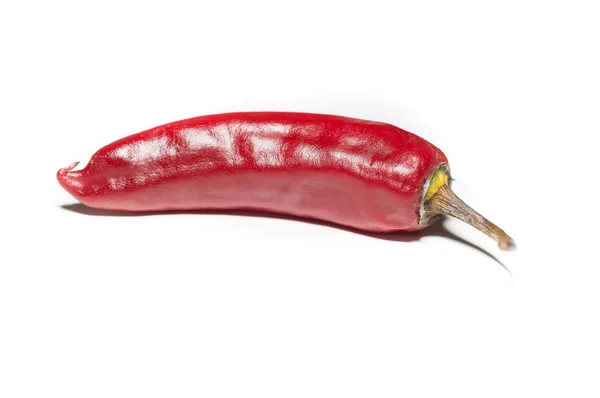 Красный перец чили изолирован на белом фоне — стоковое фото