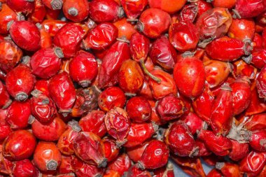 Kuşburnu doku arka plan çok