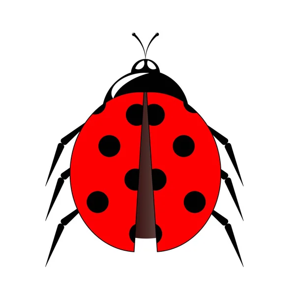 Lieveheersbeestje klein pictogram vectorillustratie — Stockvector