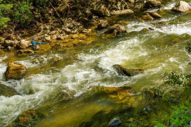 Ormandaki taşlı dağ deresi - Cheile Bicazului, Transilvanya, Romanya