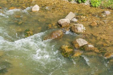 Ormandaki taşlı dağ deresi - Cheile Bicazului, Transilvanya, Romanya