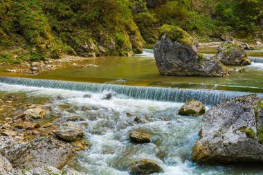 Ormandaki taşlı dağ deresi - Cheile Bicazului, Transilvanya, Romanya