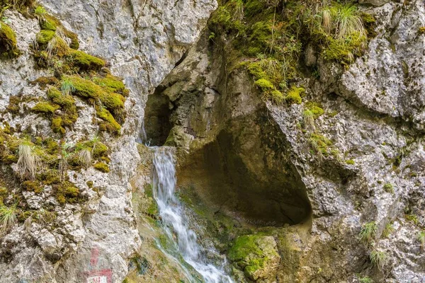 Fluxo de montanha com pedras na floresta - Cheile Bicazului, Transilvânia, Roménia — Fotografia de Stock