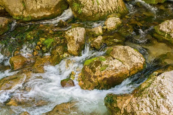 Arroyo de montaña con piedras en el bosque - Cheile Bicazului, Transilvania, Rumania — Foto de Stock