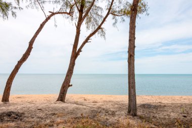 Ağaçlar açık plajı ile Deniz Manzaralı 