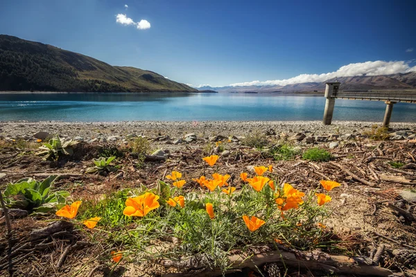 Lake Tekapo in the South Island., New Zealand. — Stock Photo, Image