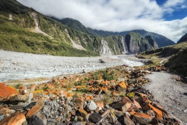Güney Isla Franz ve Fox buzullar için arazilerde hiking