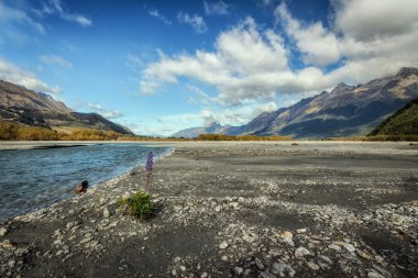 Lake Wakatipu Queentown ve Glenorchy Güney adalar arasında