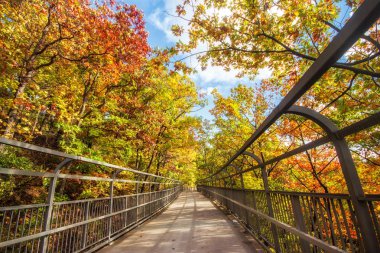Güzel renkli sonbahar yaprakları Rochester City, New York.,