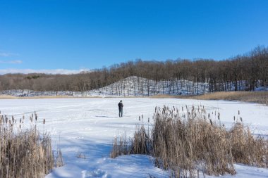 Ağaçlı güzel kış karı. Kış yolu karla kaplı..