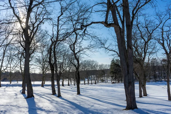 Schöne Winternatur Schnee Mit Bäumen Winterwanderweg Mit Schnee Bedeckt — Stockfoto