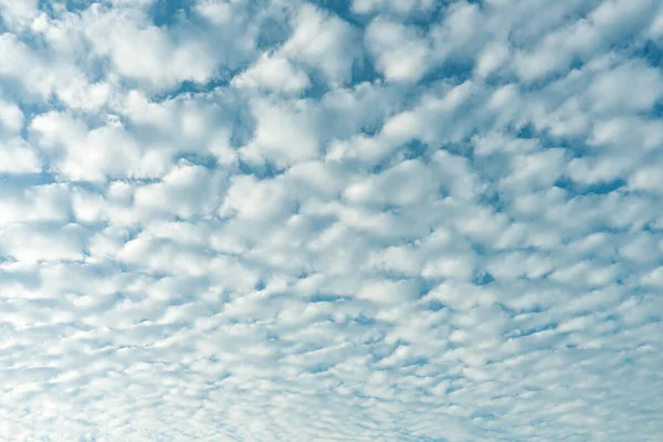 Sky Blue Background Many Clouds — Stock Photo, Image