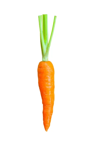 Морква Ізольована Білому Тлі Відсічним Контуром — стокове фото