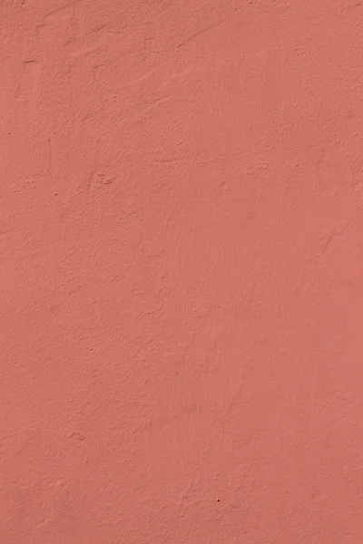 Color de la pared Calabaza — Foto de Stock