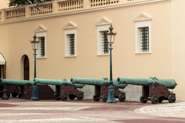 Monako Prensi s Palace