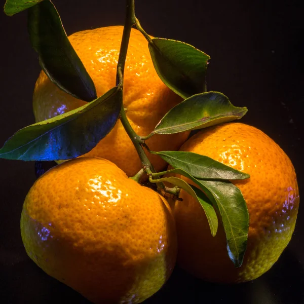 Las tres mandarinas — Foto de Stock