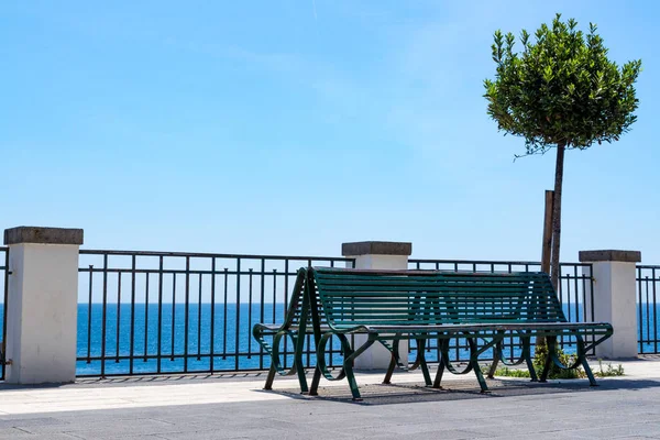 Bench and little trees — Stock Photo, Image