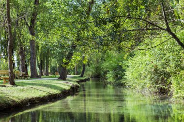Idyllic Fonti del Clitunno landscape in Umbria