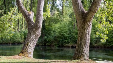 Idyllic Fonti del Clitunno landscape in Umbria