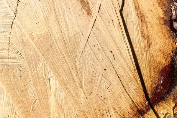 Textura de madera fondo — Foto de Stock