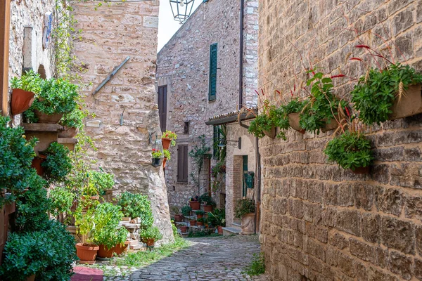 Фотографии красивых средневековых улиц — стоковое фото