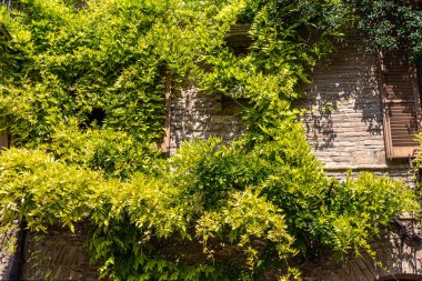 Güzel ortaçağ sokaklarının fotoğrafları. 