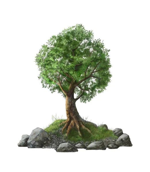 Illustration of a tree on an island — Stock Photo, Image