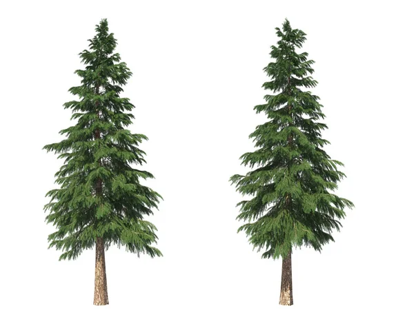 Landschaftsbau Nadelbäume Auf Einem Isolierten Hintergrund Fichte Illustration — Stockfoto