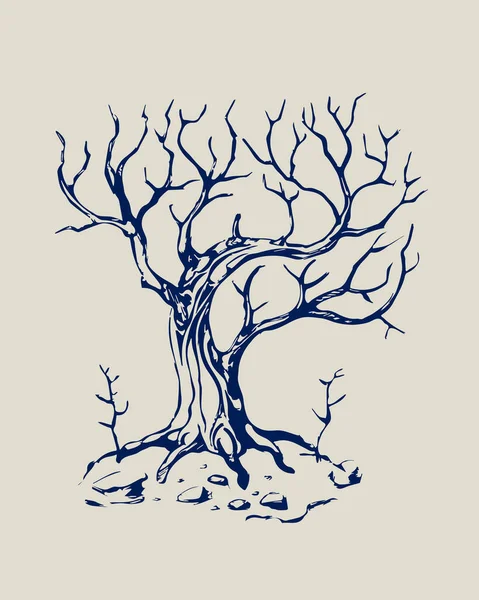 Stare Mistyczne Drzewo Bez Liści Wektor Czerń Biel — Wektor stockowy