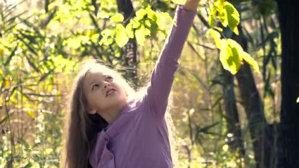 Hermosa chica en el bosque — Vídeos de Stock