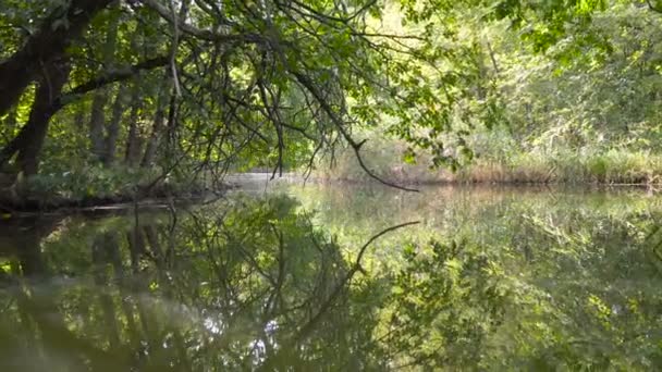 vol sur l'eau 