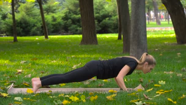 Flickan i parken gör yoga — Stockvideo