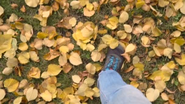 El hombre va en hojas de otoño — Vídeo de stock