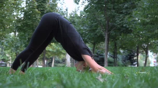 Jeune fille faisant du yoga dans l'herbe — Video